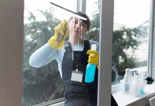 Nettoyage de vitres intérieures et extérieures à Lahosse